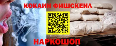 крисы Кулебаки