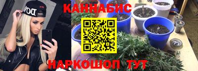 крисы Кулебаки