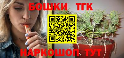 крисы Кулебаки