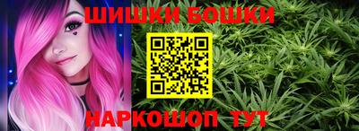 крисы Кулебаки
