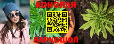 крисы Кулебаки