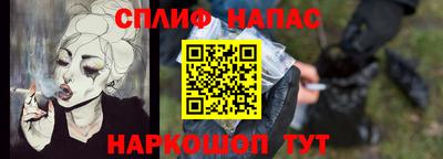 крисы Кулебаки