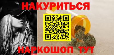 крисы Кулебаки