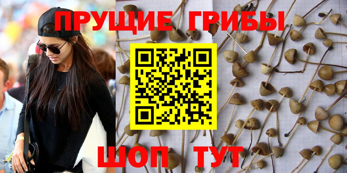 Железноводск  Псилоцибиновые грибы мухоморы  Вход с VPN  Галлюциногенные грибы MAGIC MUSHROOMS 
