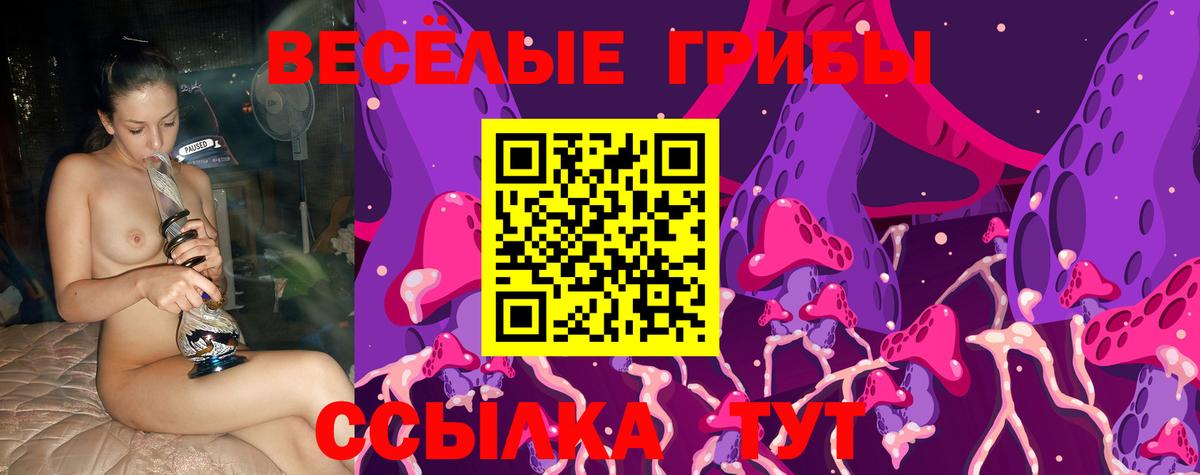 Псилоцибиновые грибы мицелий Железноводск