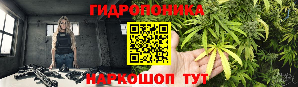 Шишки марихуана SATIVA & INDICA  Марихуана сатива  Бошки марихуана сатива  Вход с VPN  Железноводск 